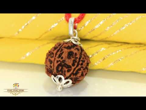 5 Mukhi Rudraksha Pendent in silver video
