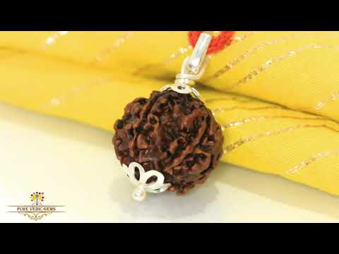 5 Mukhi natural rudraksha Pendent in silver video