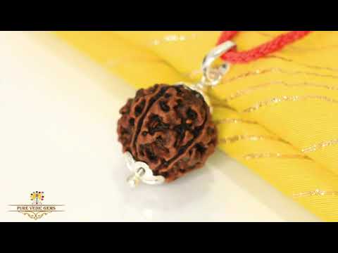 5 Mukhi natural rudraksha Pendent in silver video