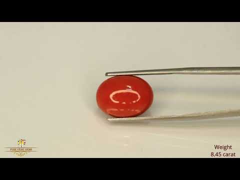 Japanese Red Coral 8.47ct-On Demand video