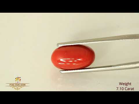 Japanese Red Coral 7.10ct-On Demand video