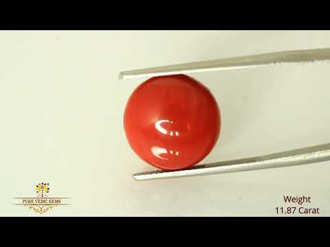 Japanese Red Coral 11.87ct-On Demand video