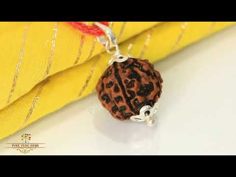 5 Mukhi natural rudraksha Pandent in silver video
