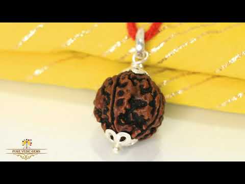 5 Mukhi natural rudraksha Pendent in silver video
