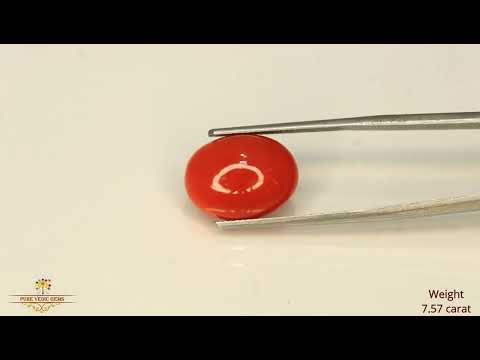 Japanese Red Coral 7.59ct-On Demand video