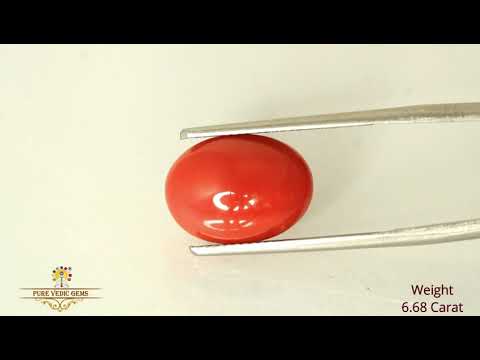 Japanese Red Coral 6.68ct-On Demand video