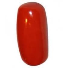 High Quality Red Coral Gemstone — High-Quality-1-1.jpg