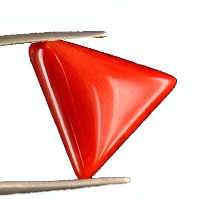 High Quality Red Coral Gemstone — High-Quality-3-1-1.jpg