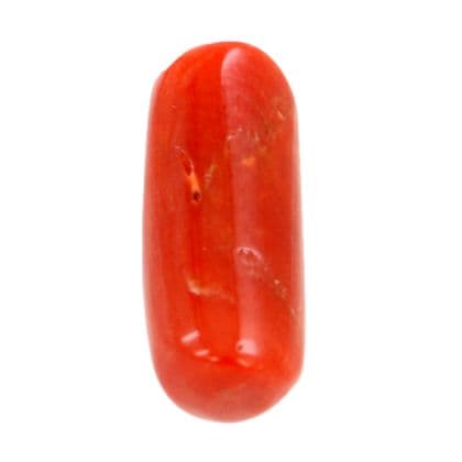 Lowest Quality Red Coral Gemstone — Lower-Quality-3-1.jpg