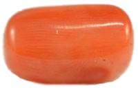 Medium Quality Red Coral Gemstone — Medium-Quality-1-1-1.jpg