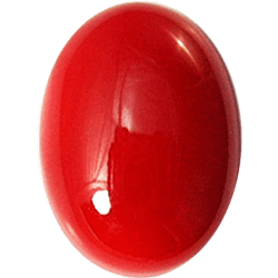 Very High / Rare Quality Red Coral Gemstone — Very-High-Quality-1-1.jpg