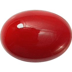 Very High / Rare Quality Red Coral Gemstone — Very-High-Quality-2-1.jpg