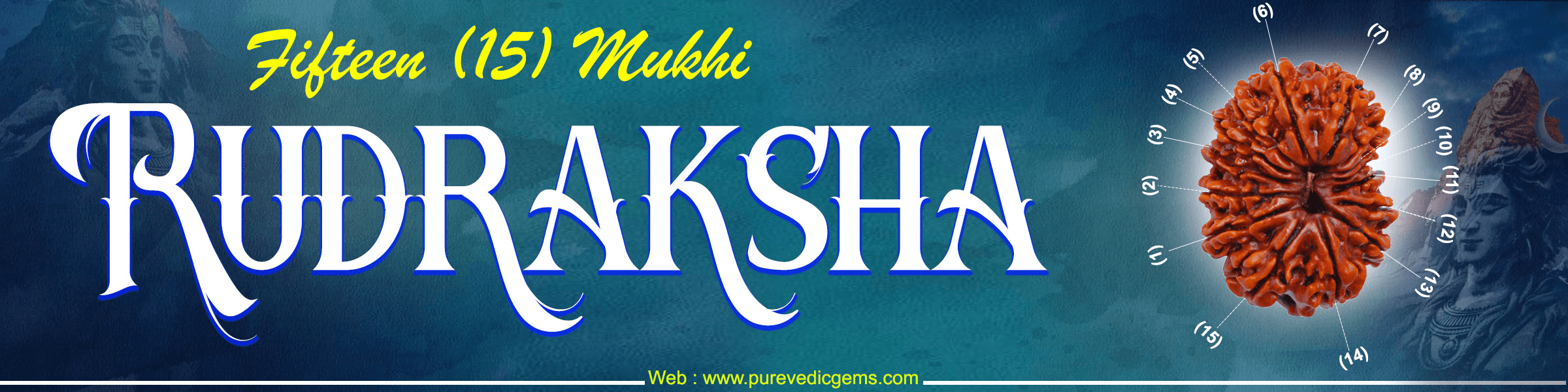 15 Mukhi Rudraksha