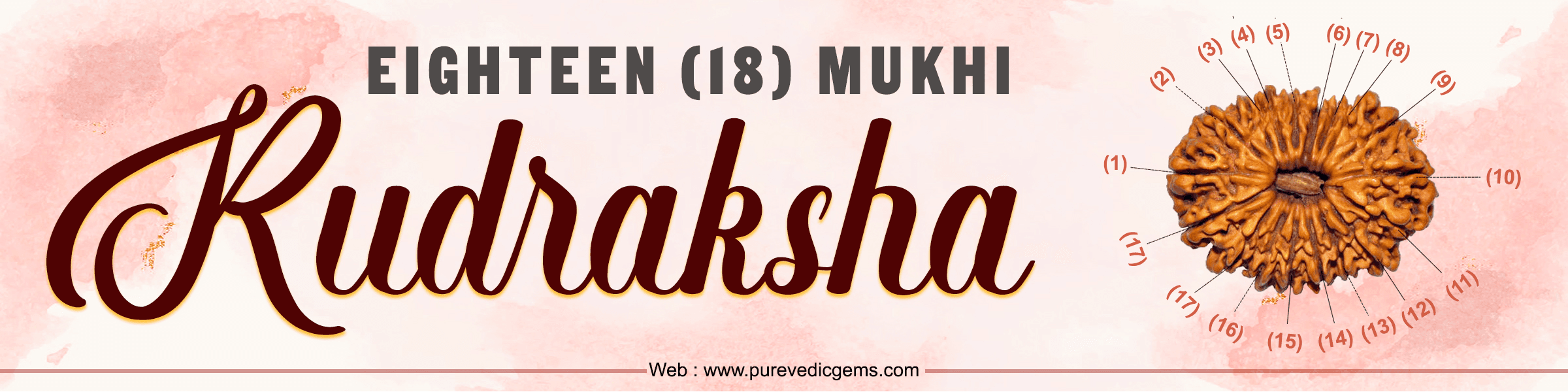 18 Mukhi Rudraksha