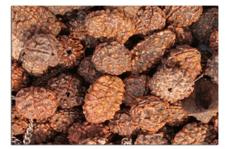 Poor Quality, fake and Tampered Rudrakshas