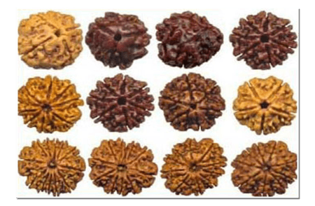 Genuine Quality, Natural and Pure Rudrakshas