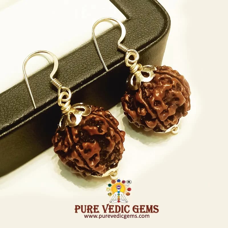 5 Mukhi natural rudraksha Tops in silver — image 1