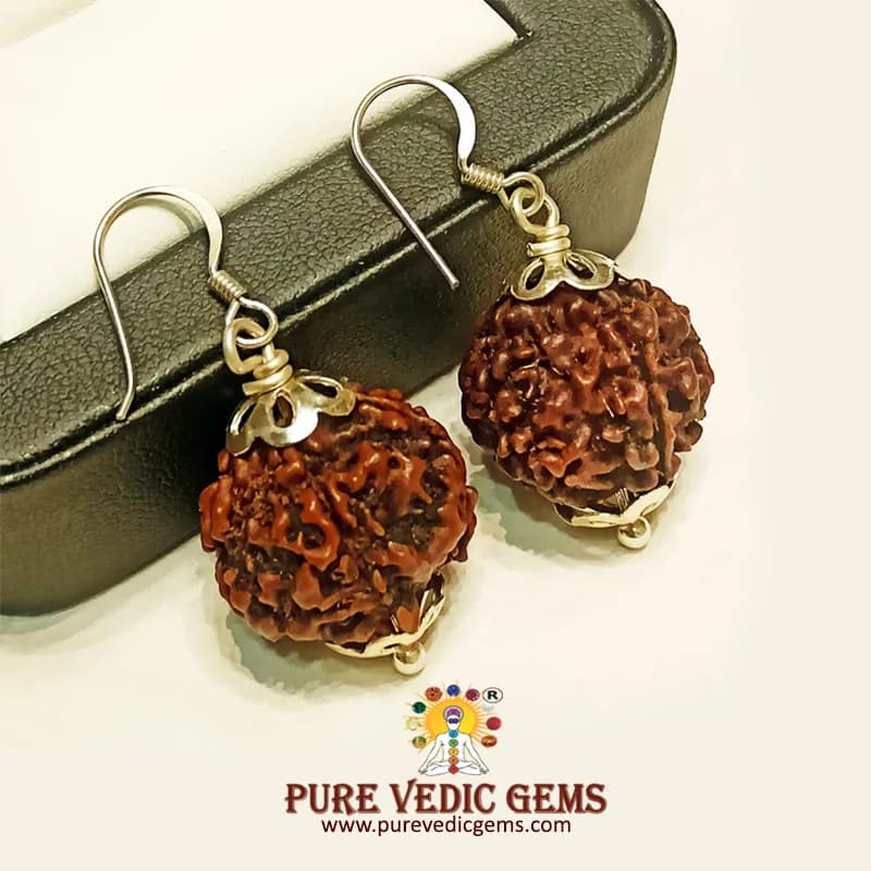 5 Mukhi natural rudraksha Tops in silver — image 1