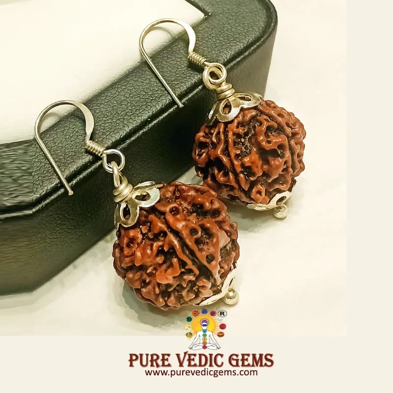 5 Mukhi natural rudraksha Tops in silver — image 1