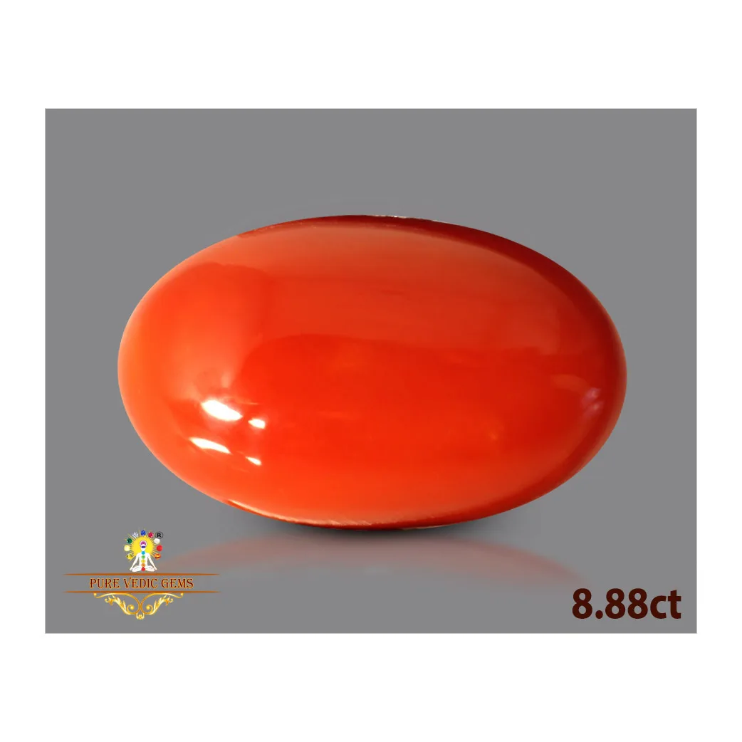 Japanese Red Coral 8.88ct-On Demand — image 1