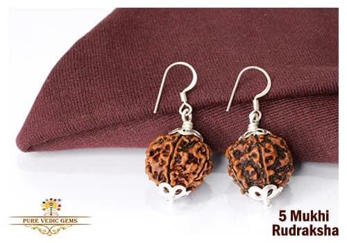 5 Mukhi natural rudraksha tops in silver — image 1