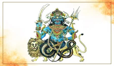 Rahu Shanti Yagya (Beej Mantra)