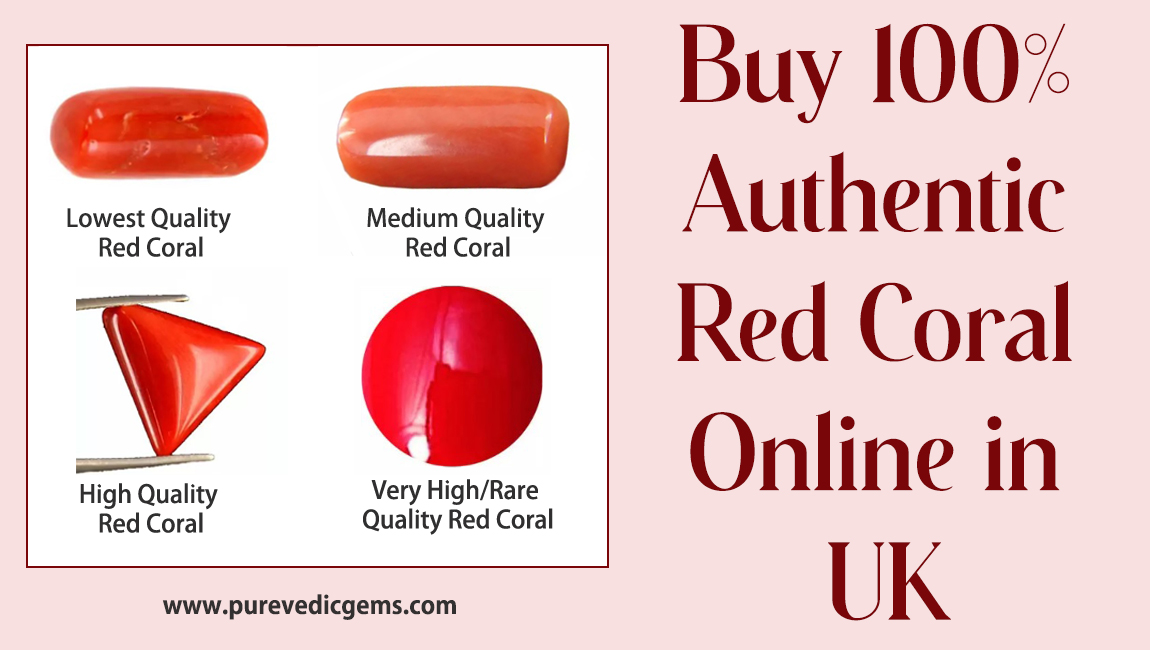 Buy 100% Authentic Red Coral Online in UK 