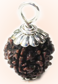 5-mukhi rudraksha pendant