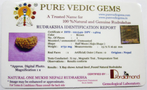 1 mukhi rudraksha certificate