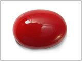 Red Coral