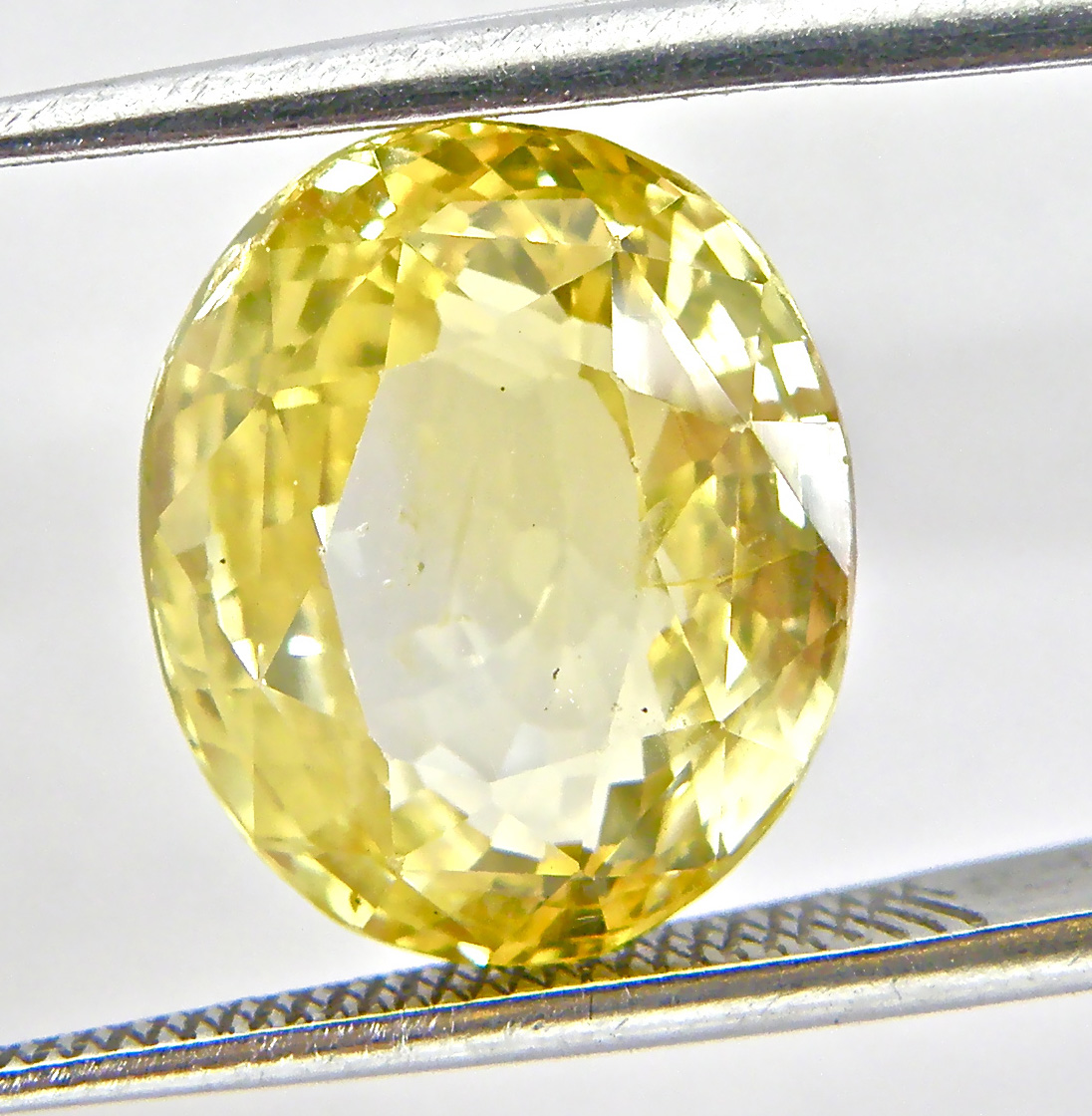yellow sapphire high