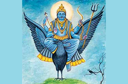 Blue Sapphire Gemstone Seller