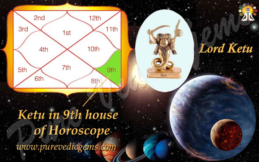 what is the 9th house in vedic astrology