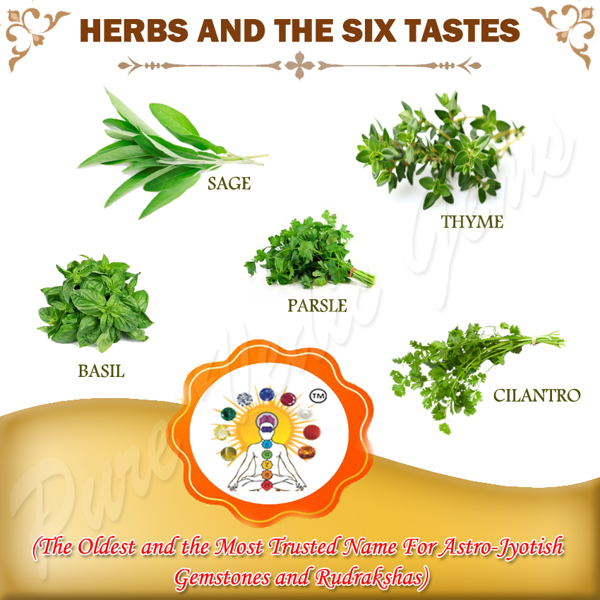 herbs and the six tastes copy