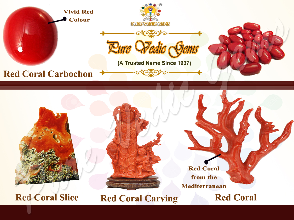 Astrologically Effective Red Coral