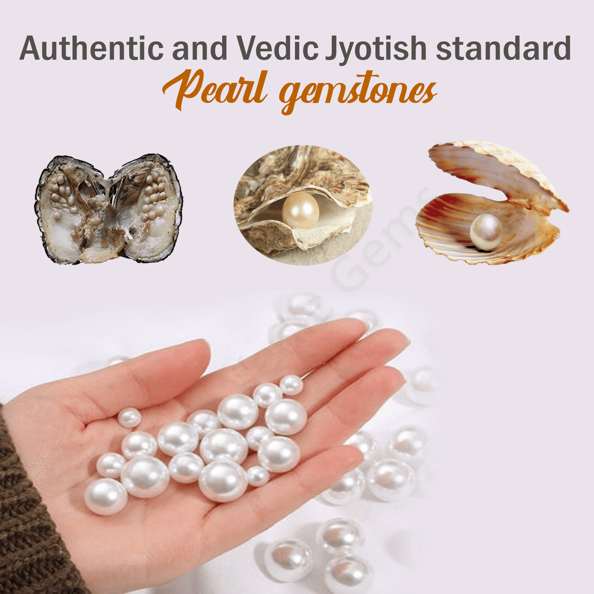 Authentic and Vedic Jyotish standard Pearl gemstones