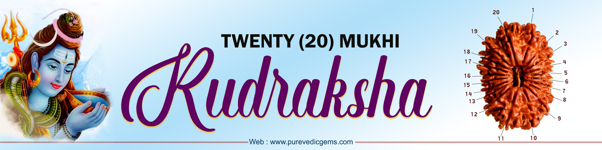 TWENTY (20) MUKHI RUDRAKSHA