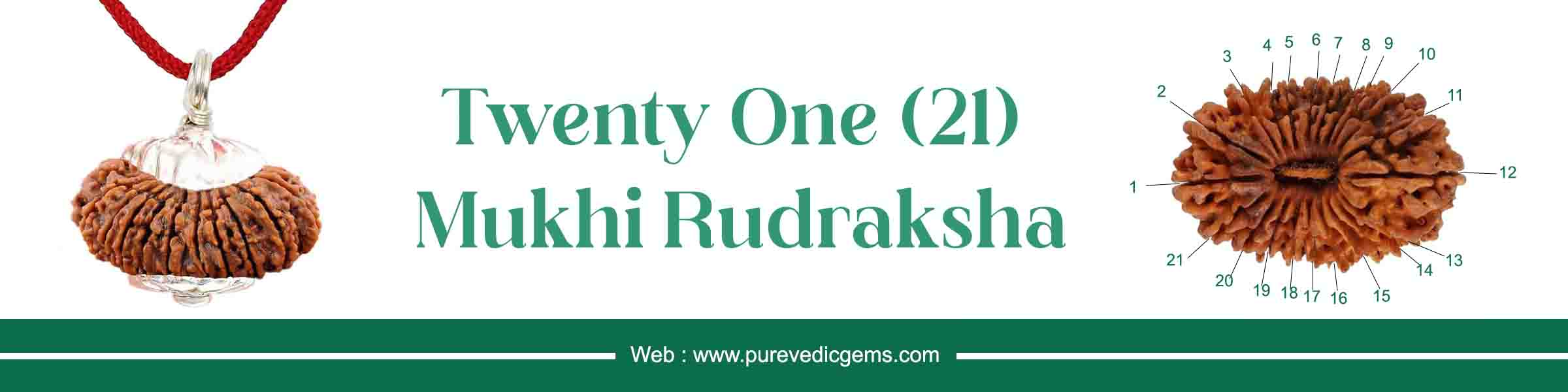 twenty one mukhi rudraksha