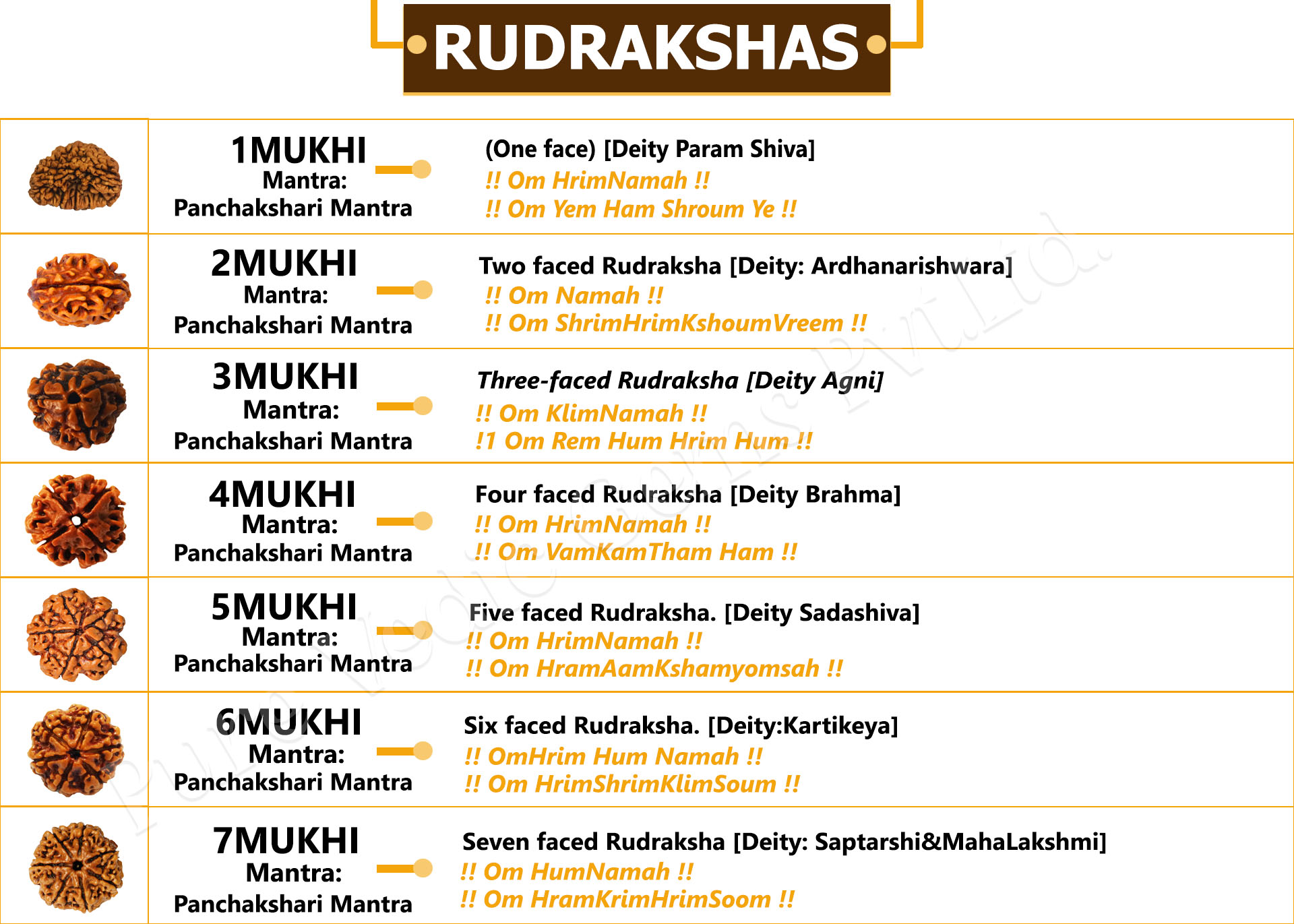 Rudrakshas 1 to 7 Mukhi