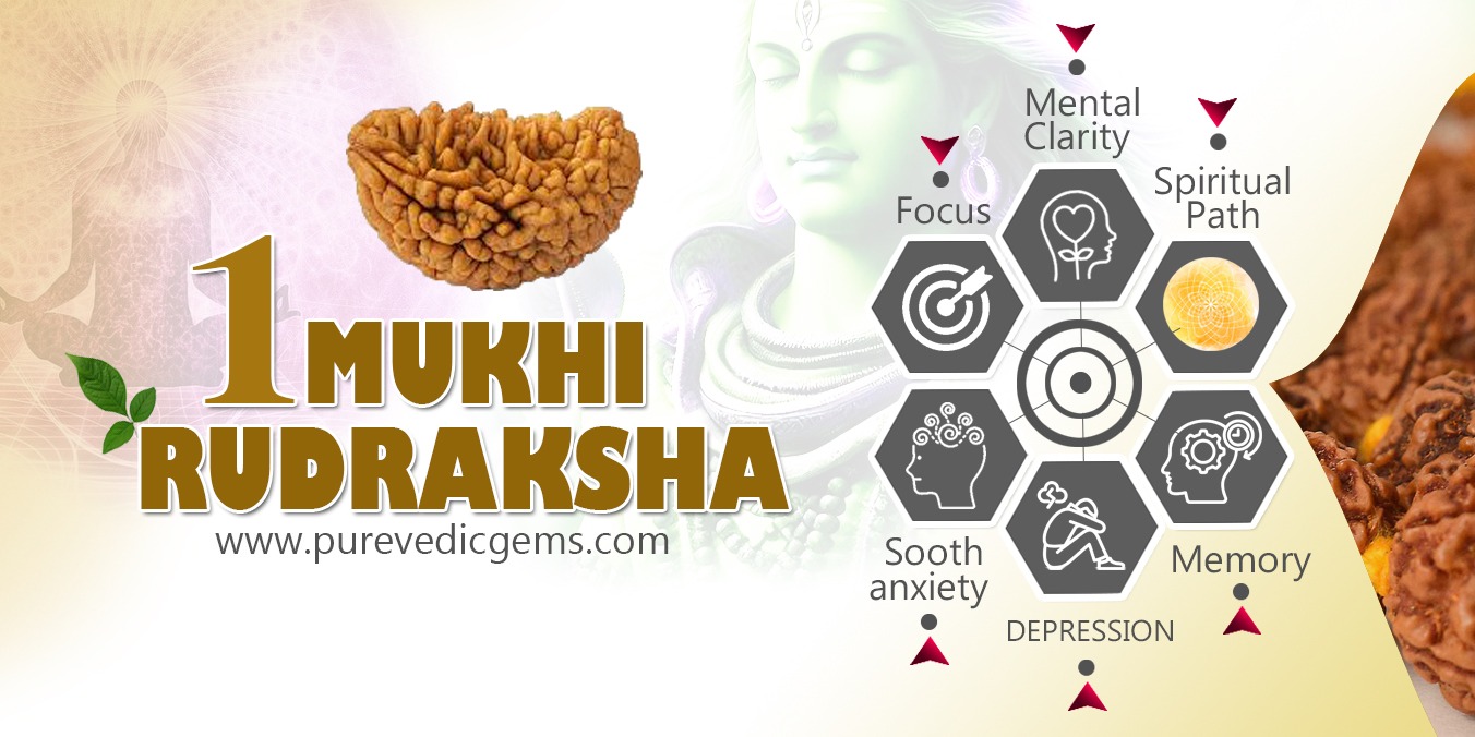 1 Mukhi Rudraksha