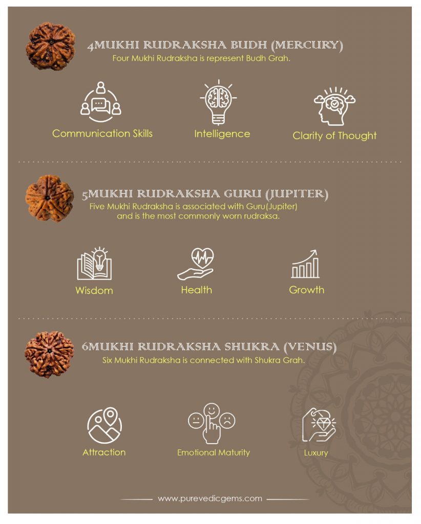 4 mukhi rudraksha